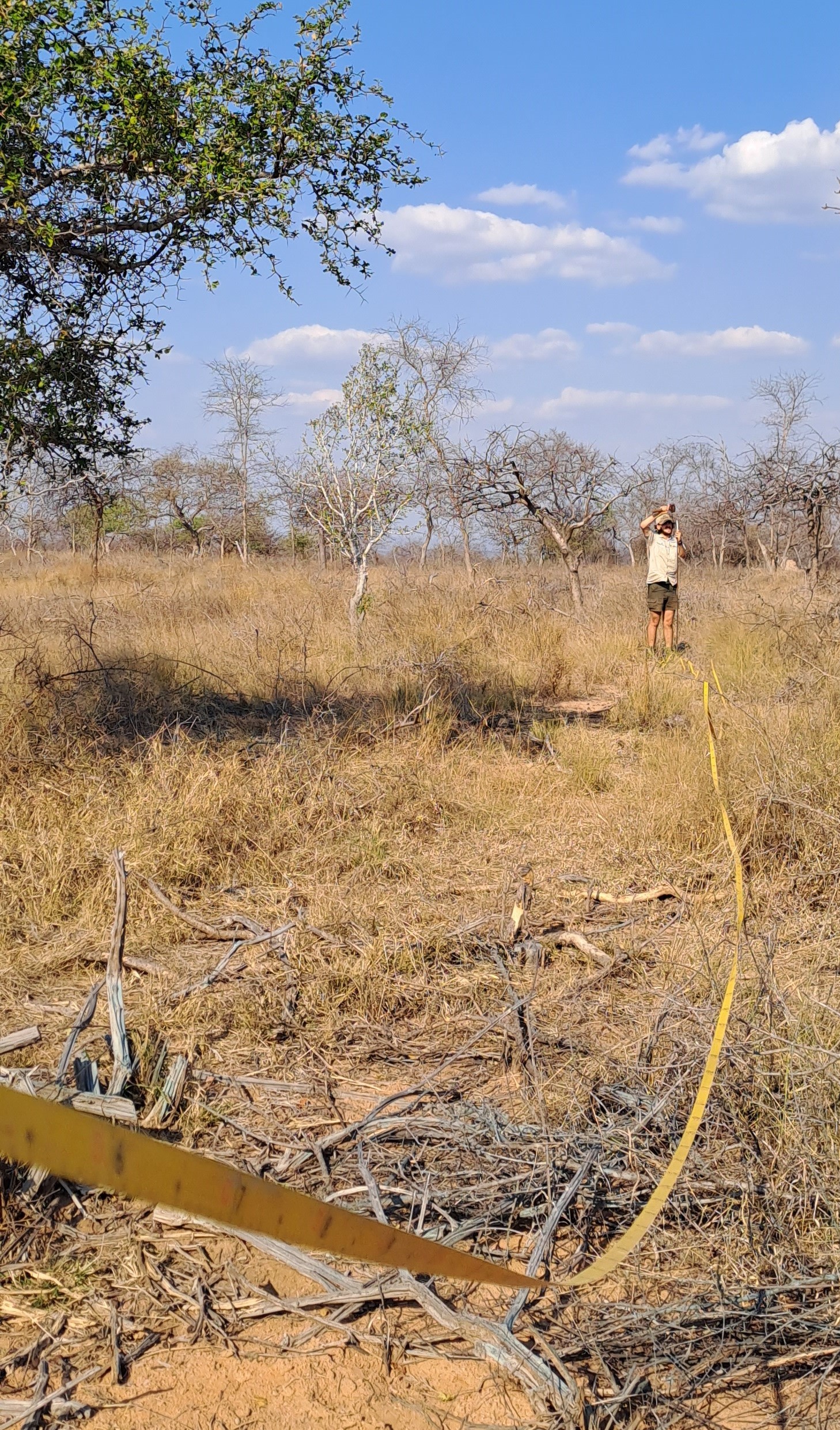 Lissataba Plant Communities Survey